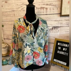 Zara Basic Collection